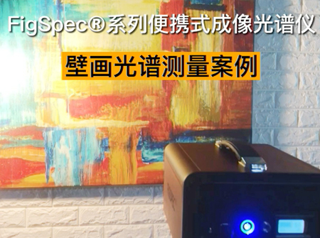 壁畫(huà)光譜測(cè)量案例